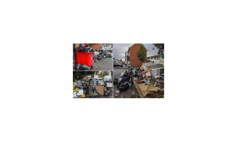 Birmingham Bin Strike Chaos: Fly-Tipping Epidemic Sparks Maggot Infestation Crisis