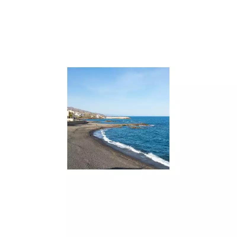 Blue Dragon Plague Strikes: Tourists Warned as Deadly Sea Slugs Invade Spanish Beaches