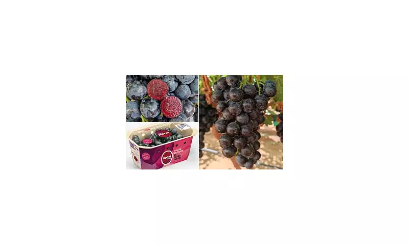 Boombites: The 'Superfruit' Grapes That Are Revolutionising Kids' Lunchboxes | UK Health & Nutrition