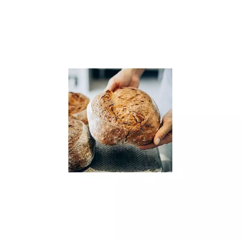 Bread Storage Hack: The Simple Fridge Trick To Keep Your Loaf Fresh For Weeks