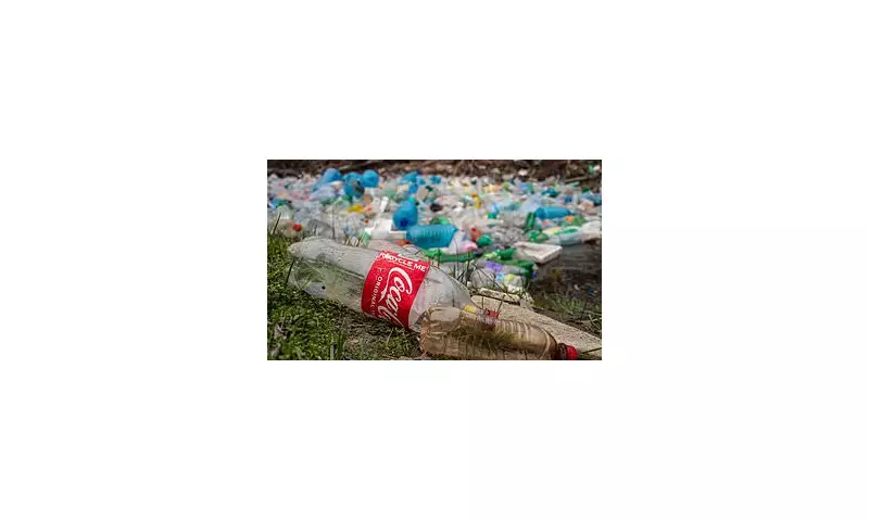 Britain's Litter Shame: The Shocking Everyday Items Cluttering Our Streets