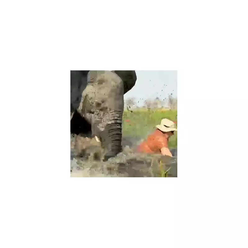 British Tourists Cheat Death as Balcony Plummets Six Floors in Tenerife Hotel Horror