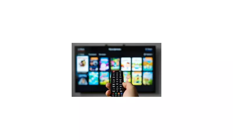 Catfish Axed After 13 Years: MTV's Hit Show Comes to an End as Host Reveals Major Career Change