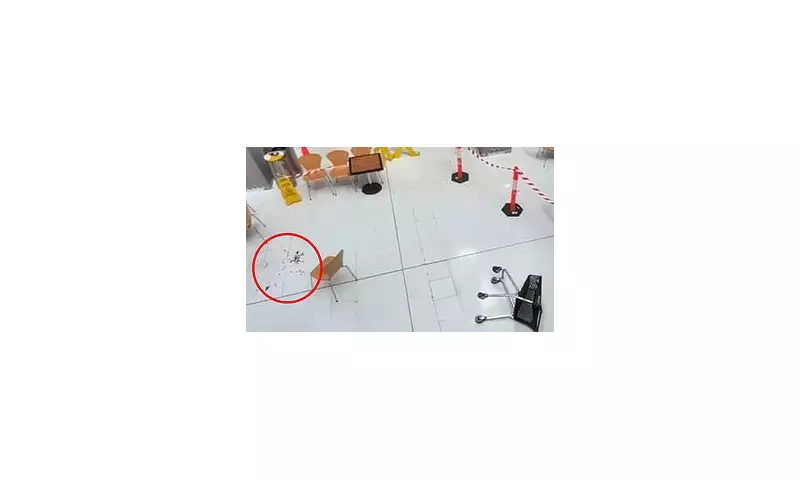 Chatswood Trolley Terror: Shoppers Flee as Car Smashes Through Sydney Shopping Centre