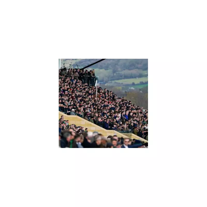 Cheltenham Festival Slashes Ticket Prices in Bold Bid to Fill Stands