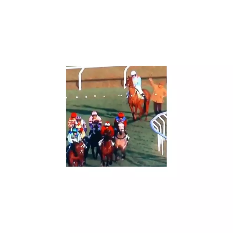 Cheltenham Festival Tragedy: Seven-Year-Old Gelding Moose Malone Dies After Heavy Fall