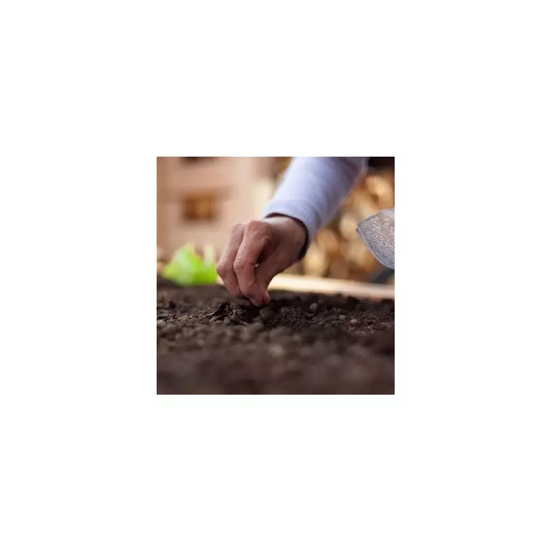 Chilli Powder & Cinnamon: The Unlikely Duo Banishing Garden Slugs For Good | UK Gardening Hack