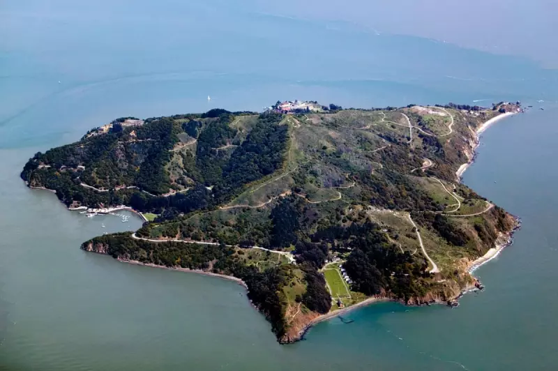 Coyote Spotted Swimming to Angel Island: San Francisco Bay's Latest Wild Visitor