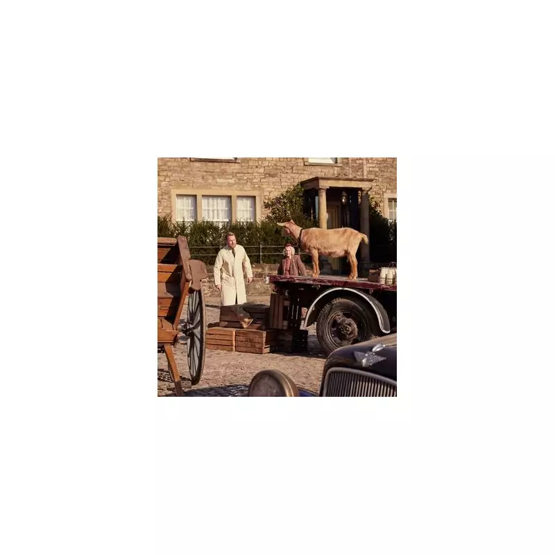 Creatures Great and Small Season 6 Release Date: All the Details on the Hit Channel 5 Drama's Return