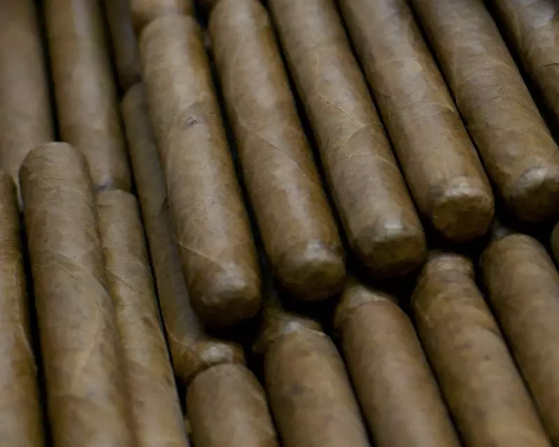 Cuba's Shocking Forced Labour Scandal: Prisoners 'Manufacturing Cigars & Charcoal' for Export