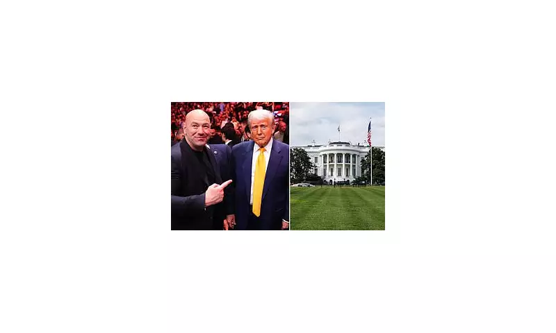 Dana White's Oval Office Invite: UFC Chief Set for Trump White House Meeting