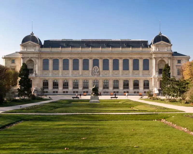 Daring Heist at Paris Museum: Priceless Gold Collection Stolen in Brazen Overnight Raid