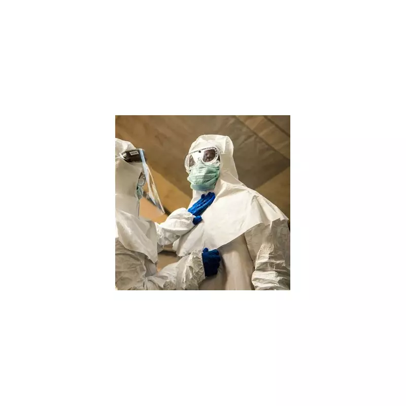 Deadly Langya Virus Sparks Global Alarm: 70% Mortality Rate and 35 Cases Confirmed