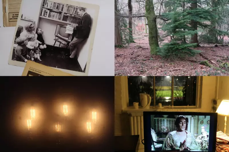 Dennis Potter & Hilary Lloyd: A Radiant Encounter at London's Studio Voltaire