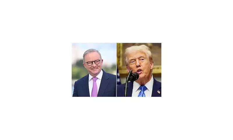 Diplomatic Snub: Albanese's High-Stakes US Trip Fails to Secure Trump Meeting