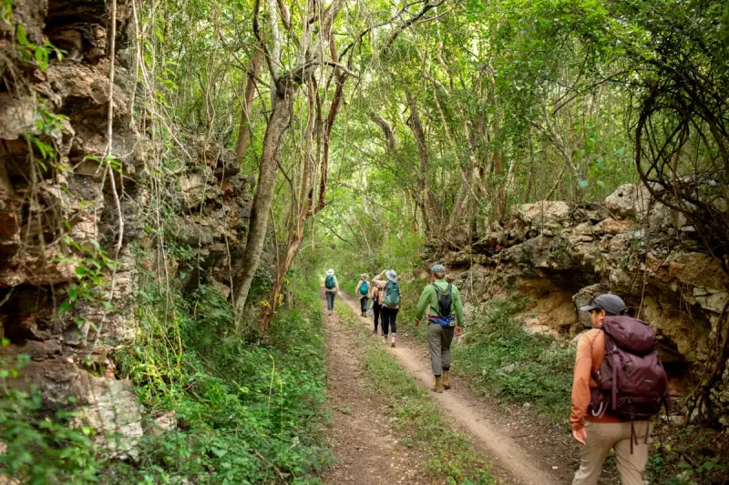 Discover the Mayan Camino del Mayab: Yucatán's Ancient Pathway Through Jungle & Sacred Cenotes
