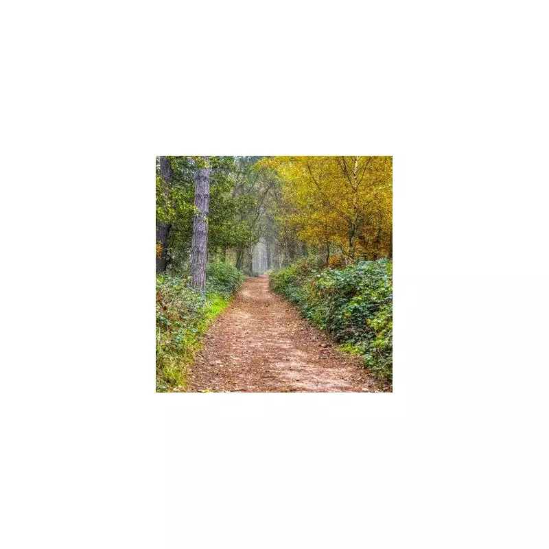 Discover Wirksworth: The Hidden Gem of the Peak District Steeped in History & Charm