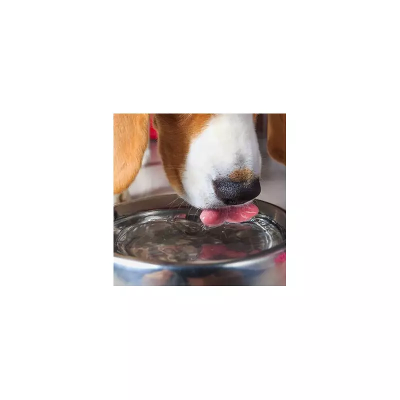 Dog Owner's Panic as 'Snake Eggs' Turn Out to Be Harmless Garden Discovery