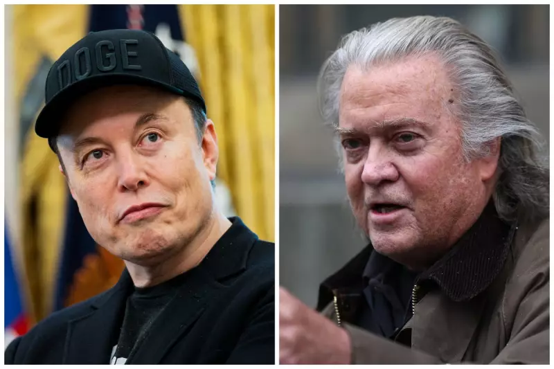 Elon Musk Faces Deportation Call from Steve Bannon Over South African Roots
