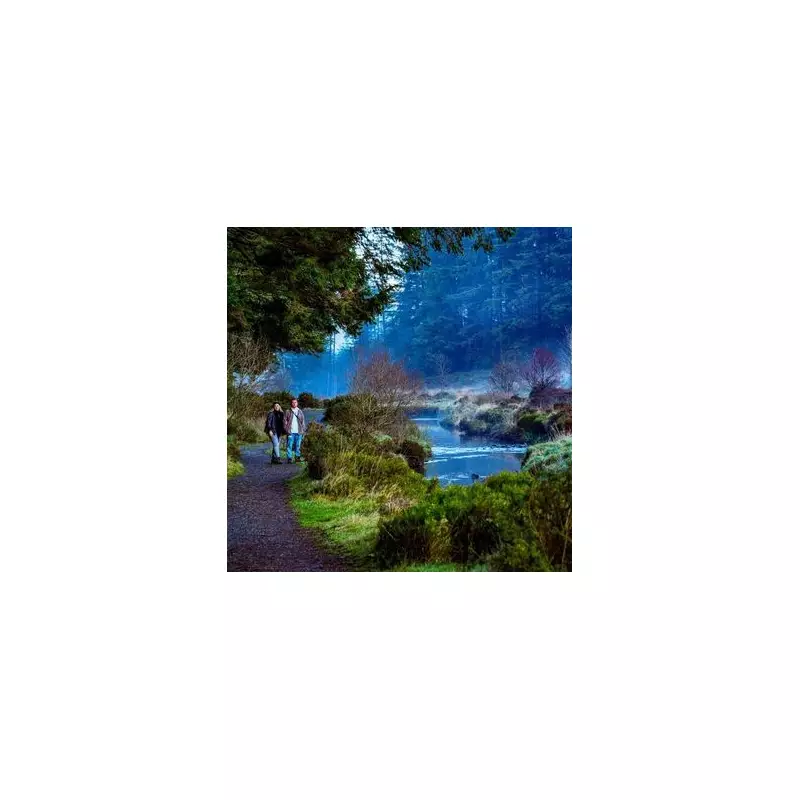 Enchanting UK Forest Trail With Magical Rainbow Canopy Is A Must-Visit Spring Spectacle