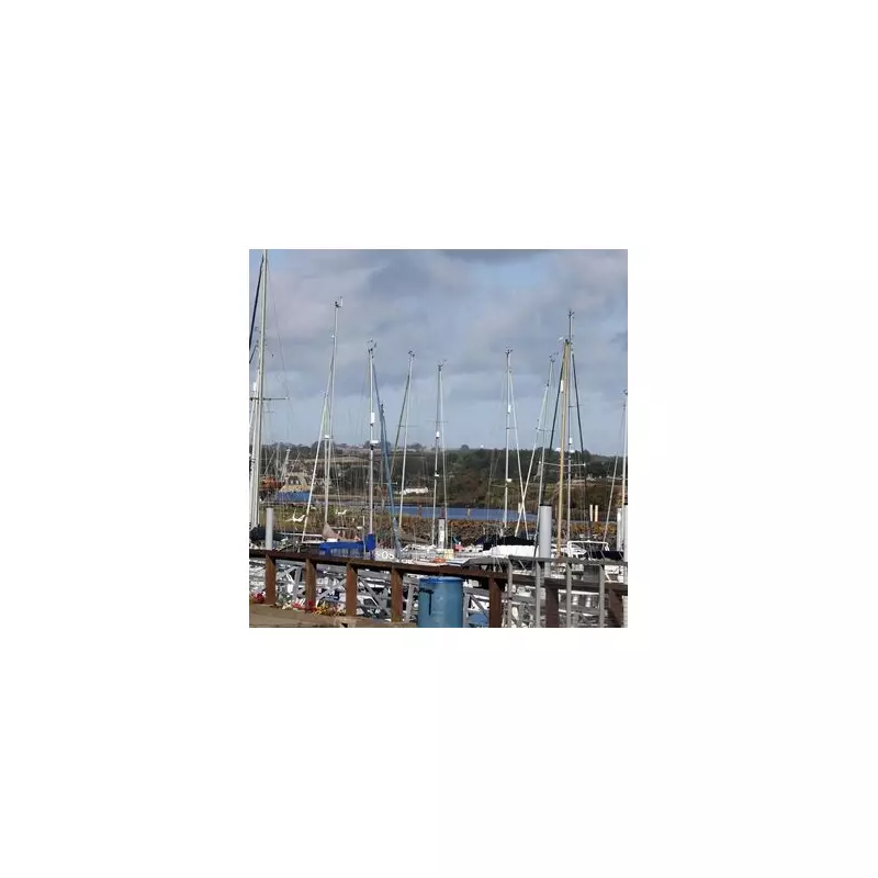 Escape to Alnwick: Discover Northumberland's Hidden Gem Voted the UK's Most Tranquil Town