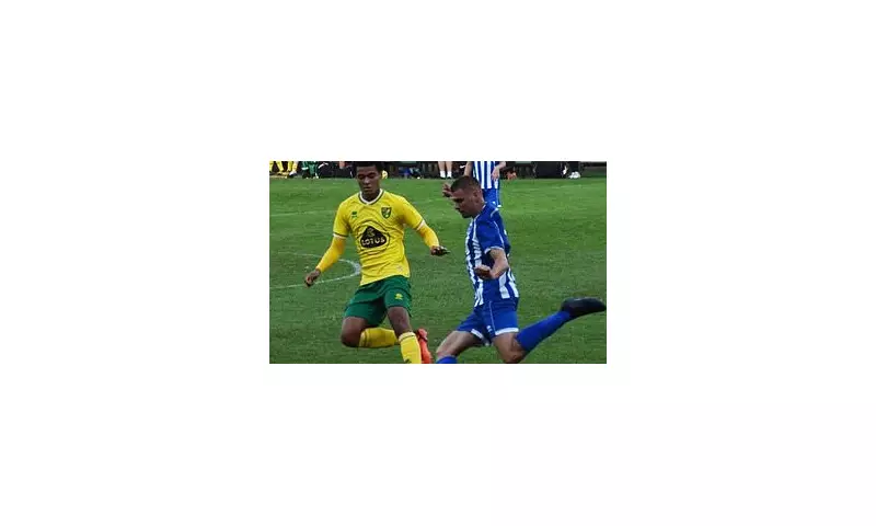 Ex-Premier League Star's Son Arrested: Armed Police Storm McDonald's in Dramatic Drink-Driving Bust