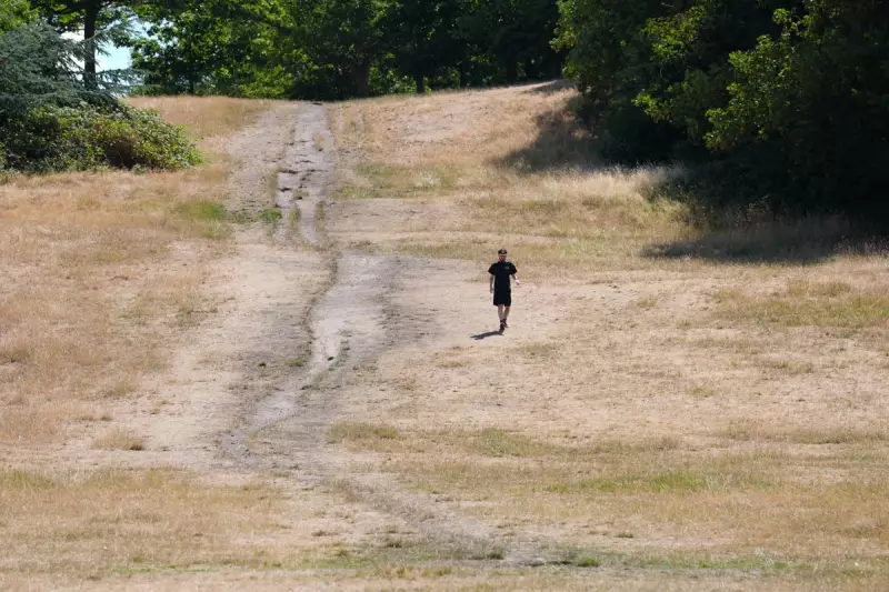 Exclusive: UK's 'Ghost High Streets' Revealed as Doncaster Named Worst for Urban Decline