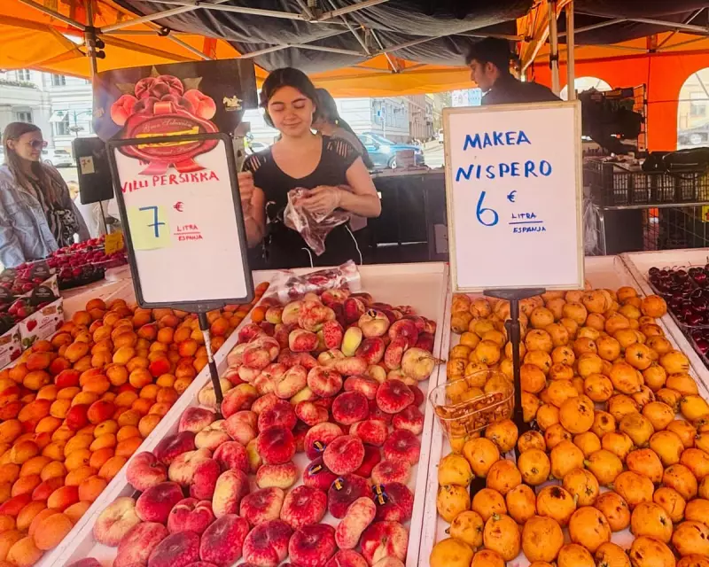 Finland's Food & Fuel Stockpiles: A Stark Warning for Europe's Fragile Supply Chains