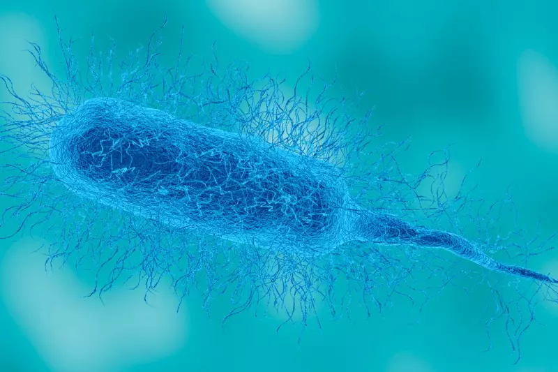 Flesh-Eating Bacteria Claims Life in Louisiana: Health Alert Issued