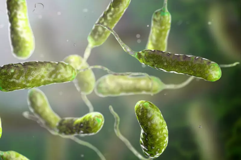 Flesh-Eating Bacteria Outbreak in Louisiana: Third Death Reported as Health Officials Issue Urgent Warning