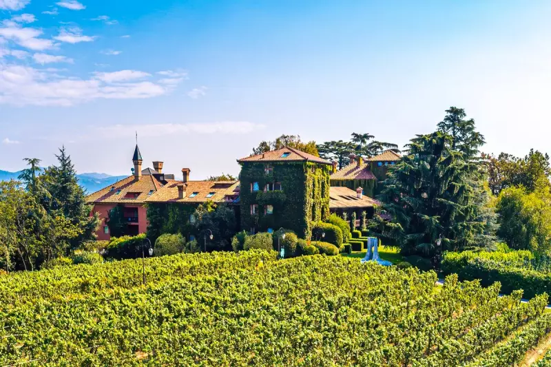 Franciacorta: Italy's Best Kept Secret in Luxury Sparkling Wine