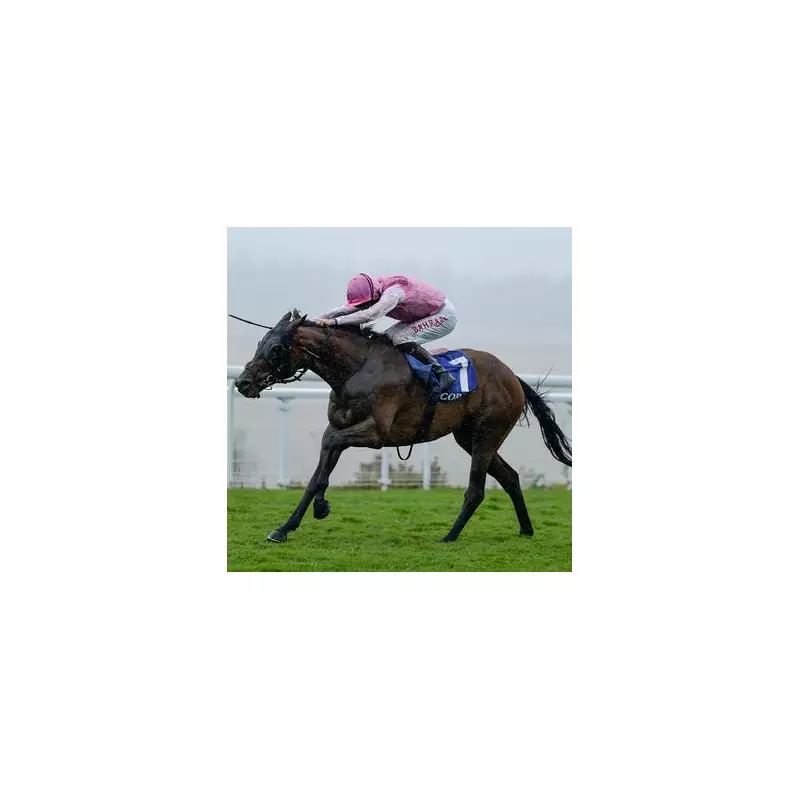 Friday's Racing Tips: Newsboy's Top Picks for Wolverhampton, Dundalk & Exeter