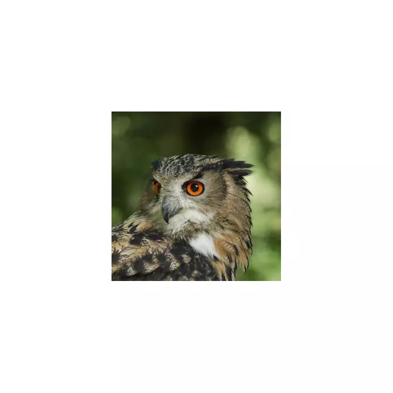 Garden Hose Ban Alert: Urgent Water-Saving Steps Every UK Household Must Take Now