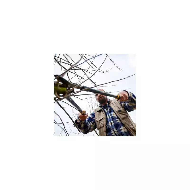 Gardeners Alert: Urgent Tree Branch Warning Issued for This Weekend