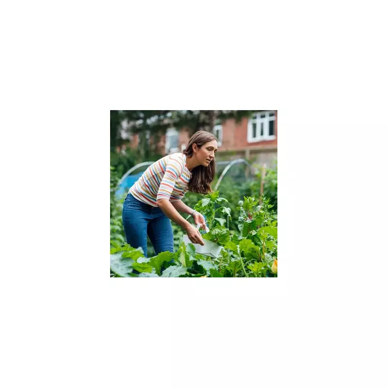 Gardeners' Secret: 3-Ingredient Homemade Fertiliser Recipe for Lush Plants & Big Savings