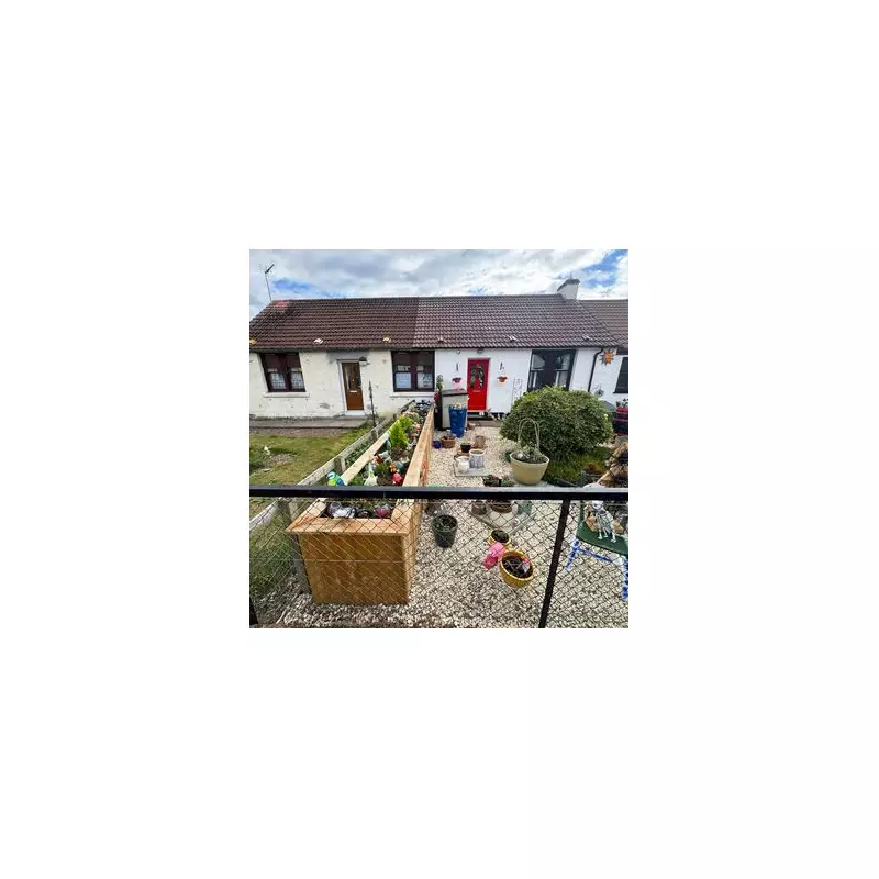 Gardening Gone Mad: Council Orders Homeowner to Seek Planning Permission for Potted Plants