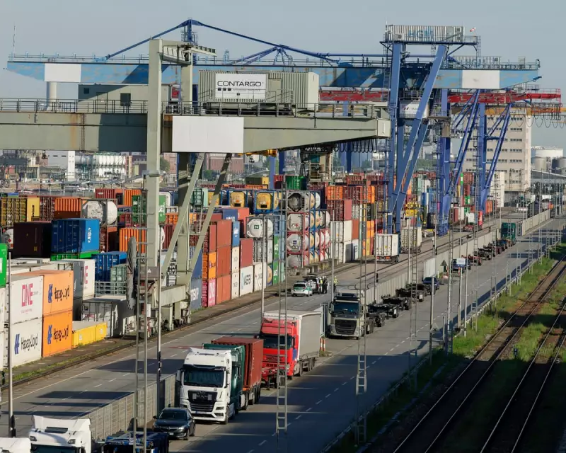 Global Economy Defies Expectations: OECD Reports Surprising Resilience Against Trump Tariff Onslaught