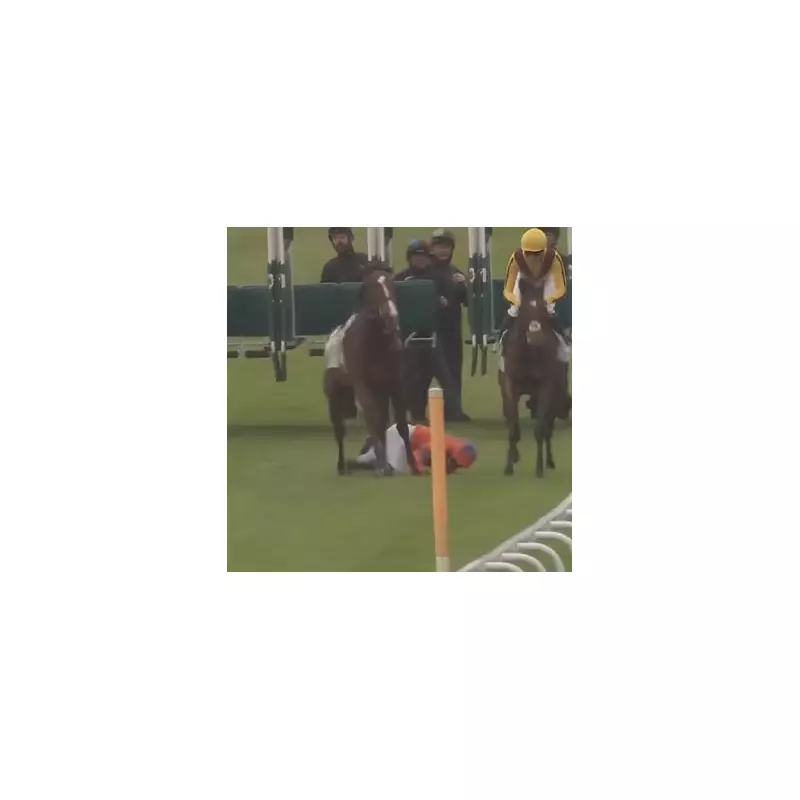 Hamilton Walkover Drama as Jockey's Terrifying Fall Halts Race Before Start