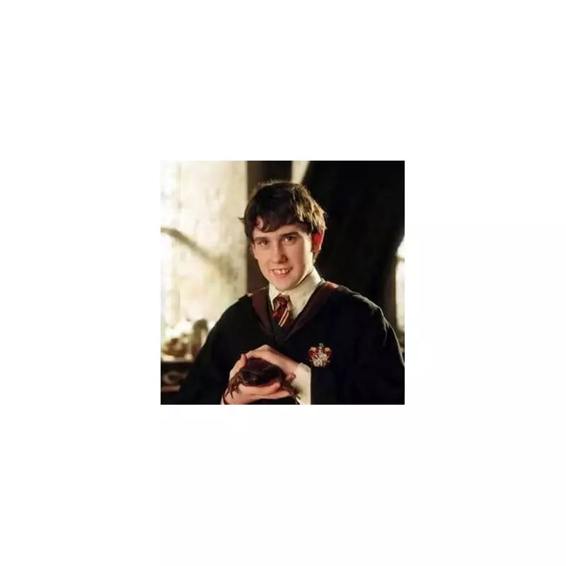 Harry Potter Star's Stunning Transformation: Alfie Enoch Unrecognisable in New TV Role