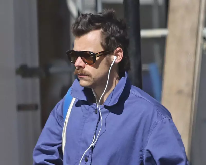 Harry Styles Stuns Berlin: Pop Icon Shatters Expectations in Debut Marathon Run