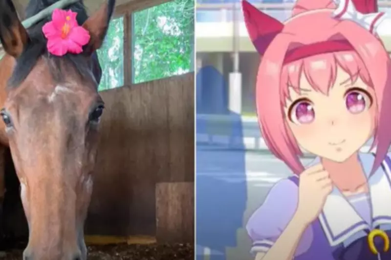 Haru Urara, Japan's 'Worst Racehorse' Turned National Symbol of Hope, Dies at 27