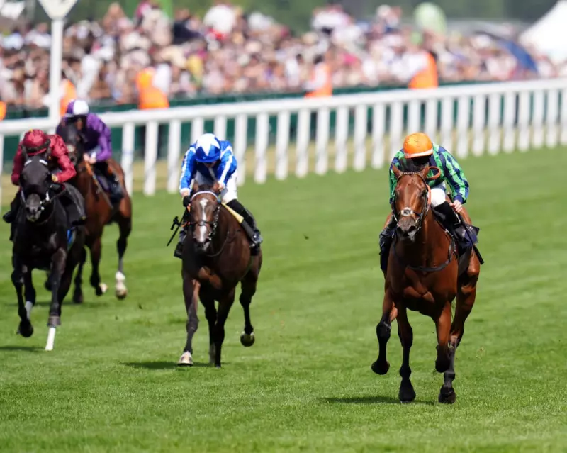 Haydock Sprint Cup 2025: Sandals Tipped for Glory in Blockbuster Showdown