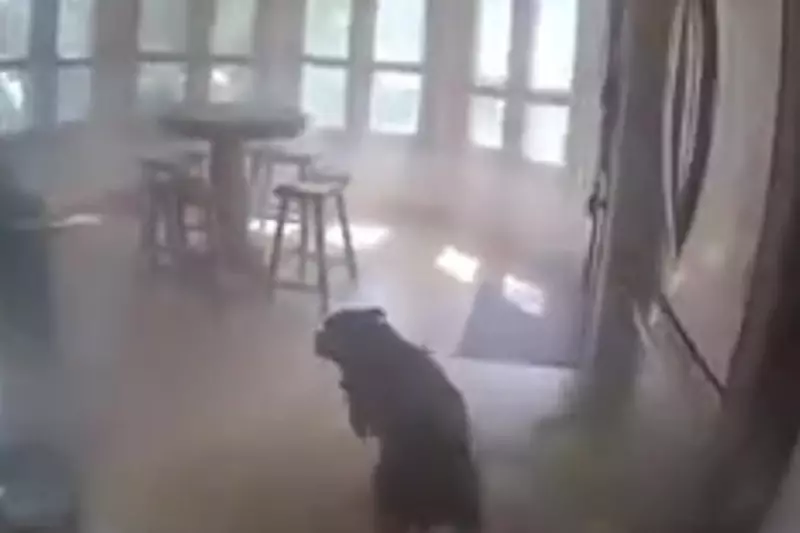 Heroic Police Officers Rescue Dog from Blazing House in Daring UK Rescue