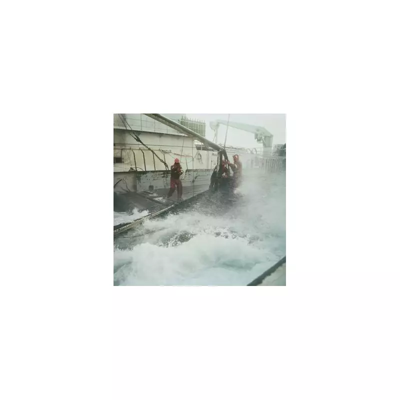 Heroic Rescue at Sea: How HMS Protector Saved My Baby Girl and Inspired Her Name