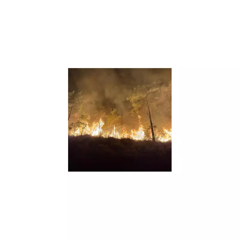 Holiday Horror: British Family's Turkey Getaway Turns to Terror as Hotel Rocked by Devastating Explosion