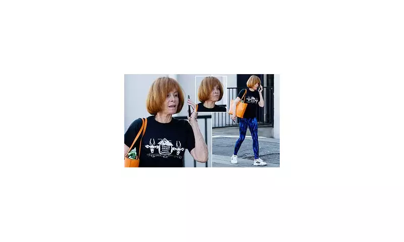 Hollywood Icon Robert Wagner, 93, Looks Unrecognisable During Rare TV Appearance | Daily Mail