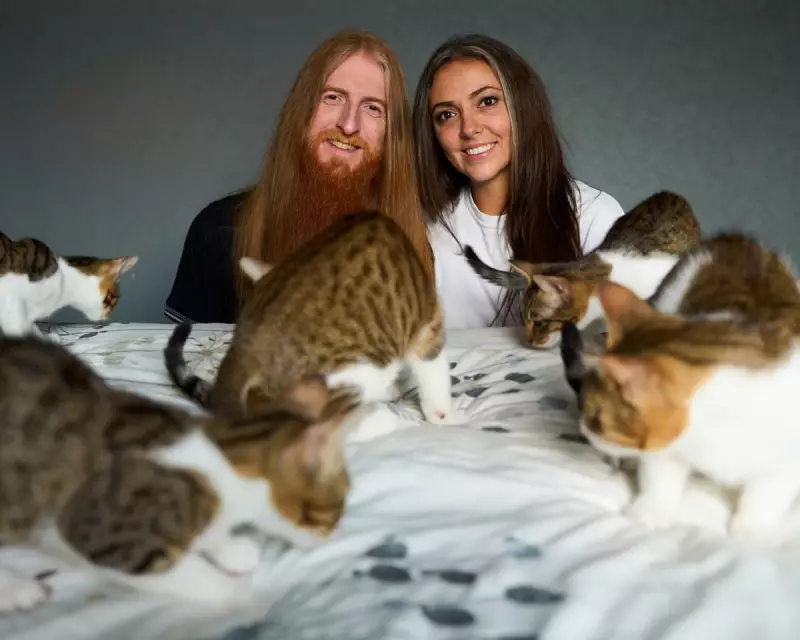 Honeymoon Heartbreak: Newlyweds' Rescued Kittens Lost by Airline After Crete Holiday