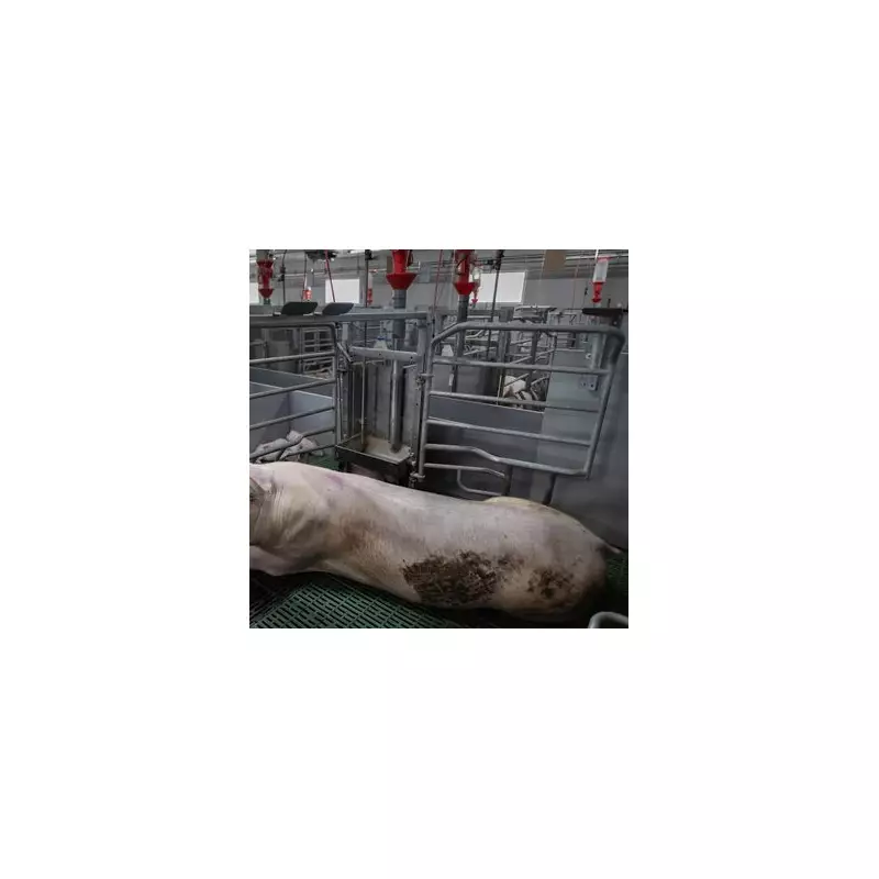 Horror on the Farm: UK Farmer Killed in Freak Auger Accident