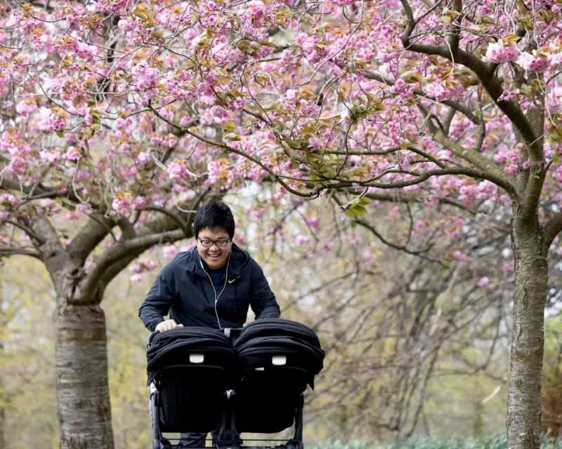 Housing Crisis Emergency: Women and Children Pushed to Breaking Point as Mental Health Suffers