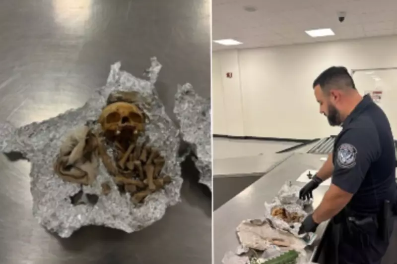 Human Remains Found in Luggage at Tampa Airport: Shocking Discovery Sparks Major Investigation